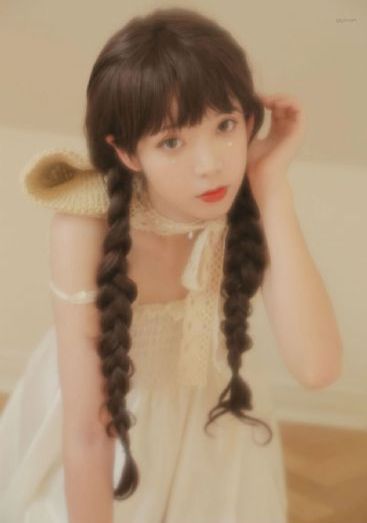 疯狂动物城(国语版)