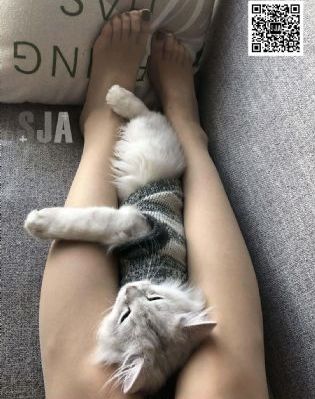 港台剧电视剧大全免费观看