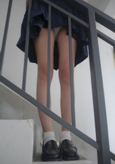 粉红大白菜
